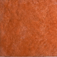 Рідкі шпалери Бегонія 107