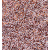 Рідкі шпалери 1015 Bioplast