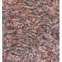 Рідкі шпалери 1016 Bioplast