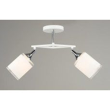 Люстра стельова Sirius N5705/2 на 2 плафони