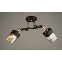 Люстра Sirius B N3846/2 (на 2 плафони)