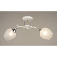 Люстра Sirius B N4475/2 (на 2 плафони)