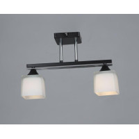 Люстра Sirius B N1373/2 (на 2 плафони)