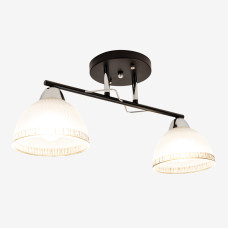 Люстра Sirius Л 8055/2 на 2 плафони