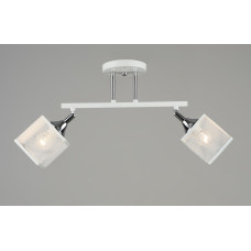 Люстра стельова Sirius N5710/2 на 2 плафони