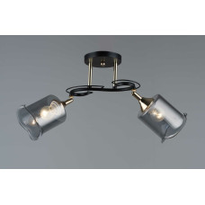 Люстра декоративна Sirius B N4862/2