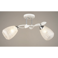 Люстра стельова Sirius W3047/2 на 2плафона