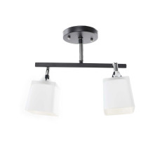 Люстра Sirius B N3502/2 (на 2 плафони)