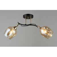 Люстра Sirius B N5006/2 на 2 плафони