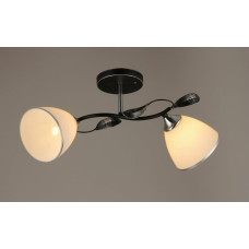 Люстра Sirius B N2709/2 (на 2 плафони)