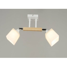 Люстра Sirius B N4719/2 (на 2 плафони)