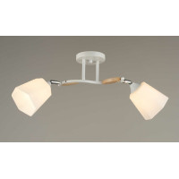 Люстра декоративна Sirius B N4867/2