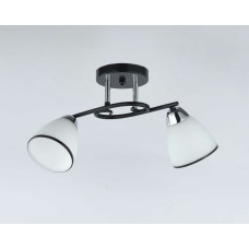 Люстра стельова Sirius 9127/2 на 2 плафона