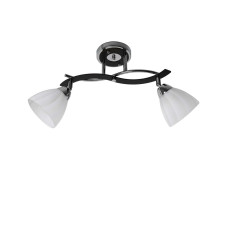 Люстра стельова Sirius B N0752/2 на 2 плафони