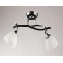 Люстра стельова Sirius B N0752/2 на 2 плафони