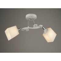 Люстра стельова Sirius B N3845/2 на 2 плафона