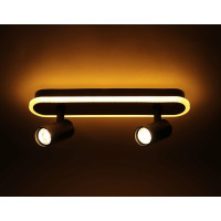 Люстра Sirius PRD-C 0371-2 42W в стилі лофт з поворотним механізмом на 2 лампочки