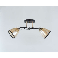Люстра стельова Sirius 10134/2 на 2 плафона