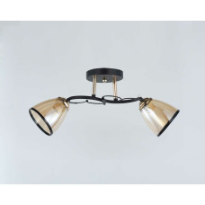 Люстра стельова Sirius 10134/2 на 2 плафона