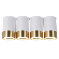 Точковий спот BP Black/White Gold на 4 лампи, арт. 25624 Золотий/білий 1