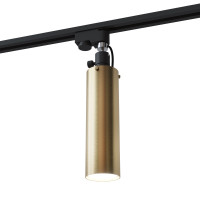 Точковий трековий спот TR 2 латунний, арт. 25497 Золотий