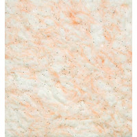 Рідкі шпалери Айстра 011