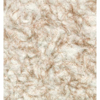 Рідкі шпалери Айстра 012