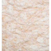 Рідкі шпалери Айстра 016