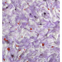 Рідкі шпалери Тюльпан 1102