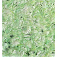 Рідкі шпалери Тюльпан 1104