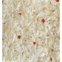 Рідкі шпалери Тюльпан 1116