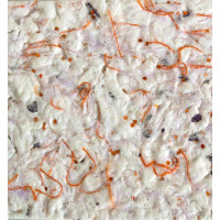 Рідкі шпалери Троянда 604