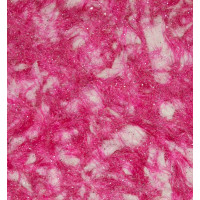 Рідкі шпалери Орхідея 808