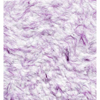 Рідкі шпалери 113 Bioplast