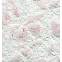 Рідкі шпалери 209 Bioplast