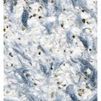 Жидкие обои 404 Bioplast