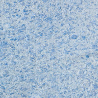 Рідкі шпалери Вікторія 717