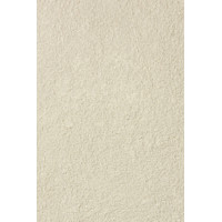 Рідкі шпалери 850 Bioplast