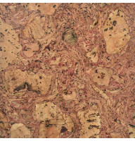 Коркові шпалери ATLANTA RED