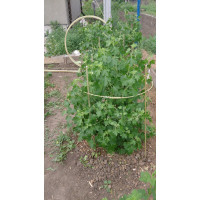 Опори для рослин і квітів Polyarm