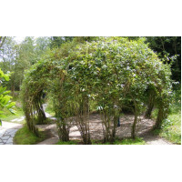 Садова альтанка з композитної арматури Polyarm