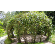 Садова альтанка з композитної арматури Polyarm